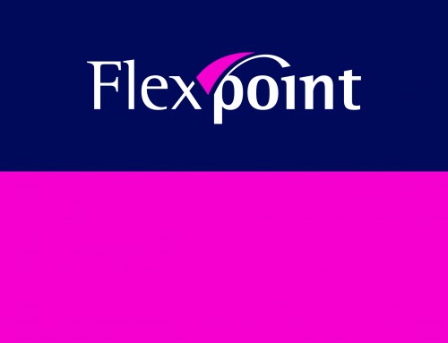 Flexpoint Diensten Groep BV